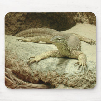 Sand goanna mouse pad