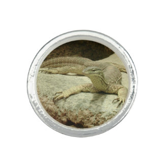 Sand goanna ring