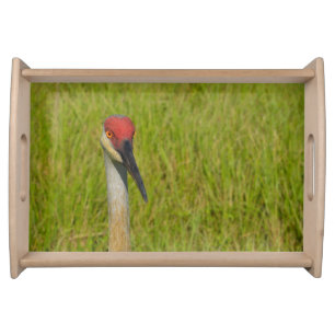 Sand Hill Crane Bird Photograph Nature Wildlife    Serving Tray