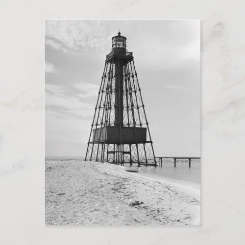 Sand Key Lighthouse Postcard