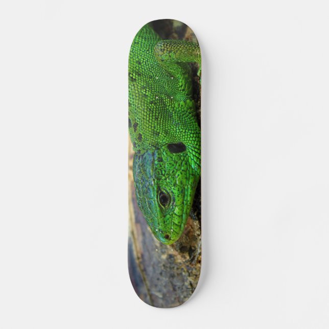 Sand Lizard Male Lacerta Agilis Skateboard Deck (Front)