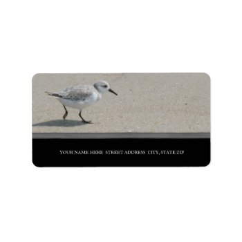 Sand Piper Address Labels by lifethroughalens at Zazzle