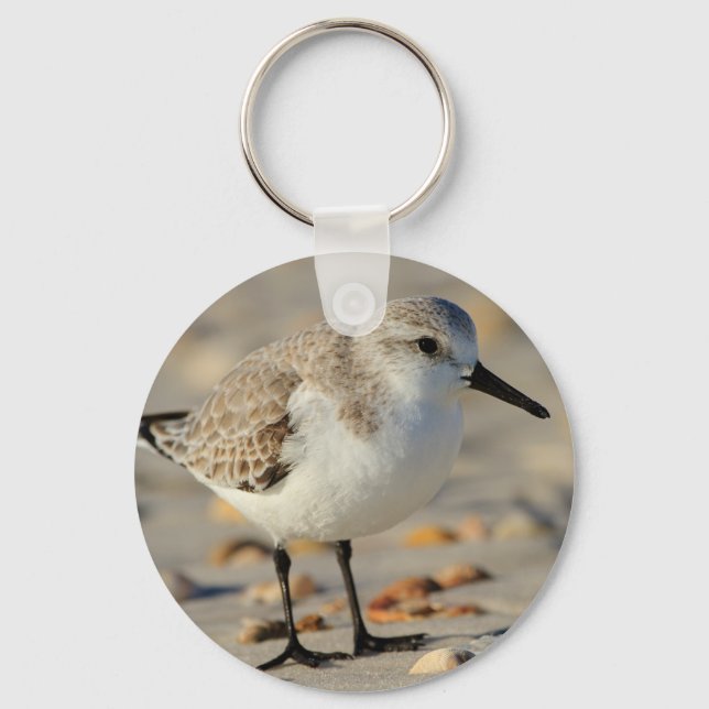 Sand Piper and Seashells Keychain (Front)