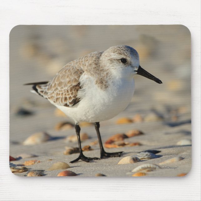 Sand Piper and Seashells Mouse Pad (Front)
