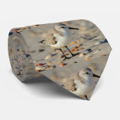 Sand Piper and Seashells Neck Tie (Rolled)