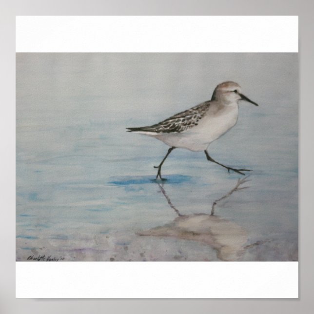Sand Piper Bird Art Print (Front)
