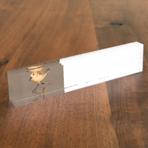 sand piper name plate