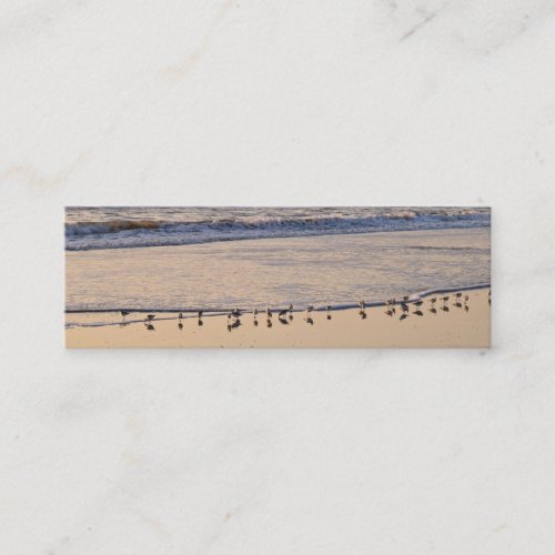 Sand Pipers nibbling breakfast in the waves Business Card Templates