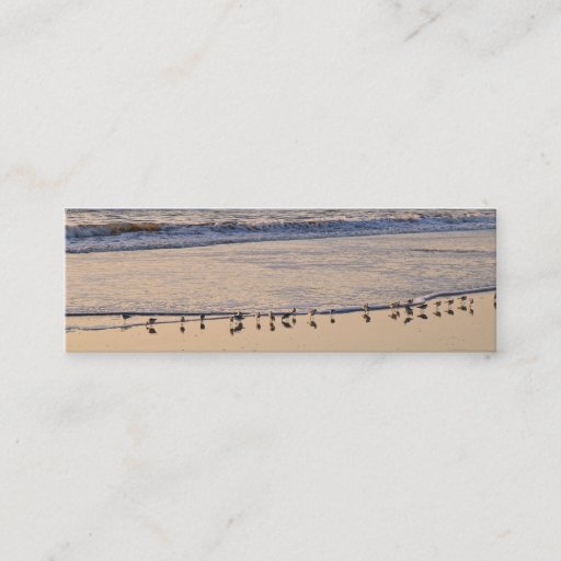 Customizable Sand Pipers nibbling breakfast in the waves Business Card Templates