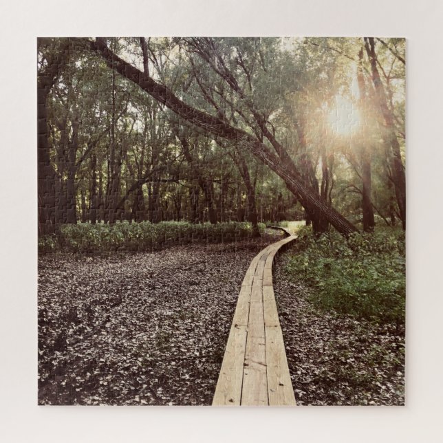 sand point trail minnesota jigsaw puzzle (Vertical)