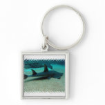 Sand Shark Keychain