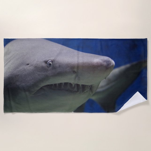 Sand tiger shark beach towel (Front)
