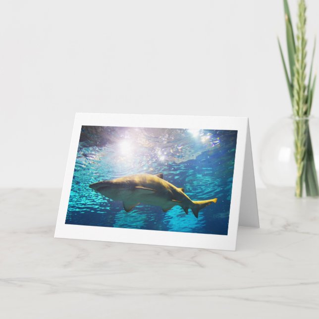 Sand tiger shark holiday card (Front)