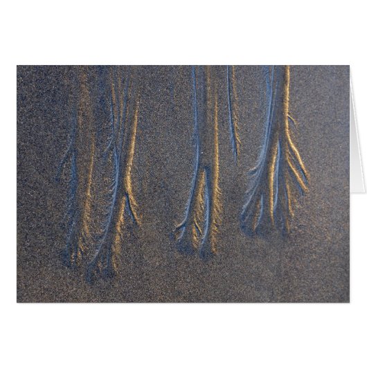 Sand Trails at Ruby Beach, WA Cards (Front Horizontal)