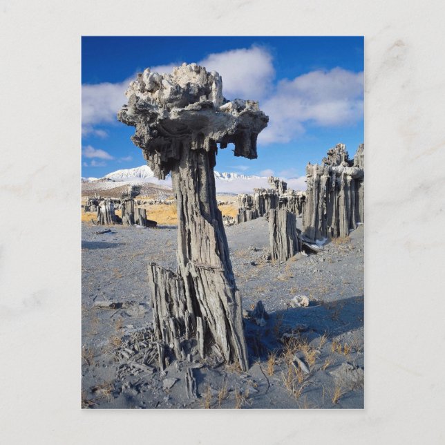 Sand tufa formations, Mono Lake, California, U.S.A Postcard (Front)