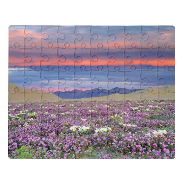 Sand Verbena & Dune Primrose Wildflowers at Sunset Jigsaw Puzzle (Puzzle Horizontal)