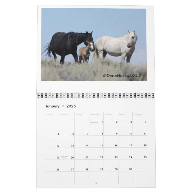 Sand Wash Basin Wild Horse Calander Calendar | Zazzle