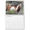 Sand Wash Basin Wild Horses