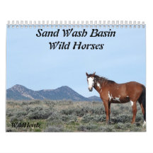 Sand Wash Basin Wild Horses