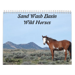 Sand Wash Basin Wild Horses Calendar