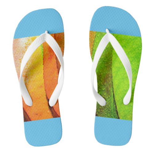 Sandals  Flip Flops 