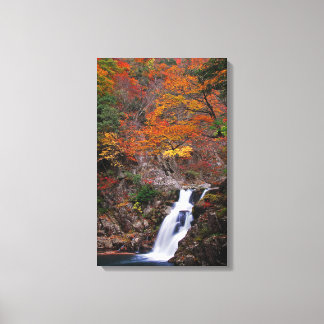 Sandankyo Waterfall in Autumn Canvas Print