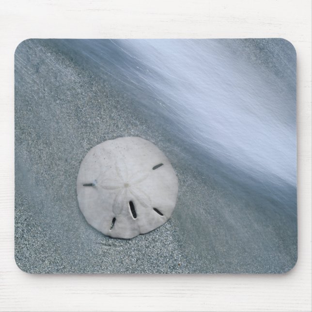 Sanddollar on Beach | Sanibel Island, Florida Mouse Pad (Front)