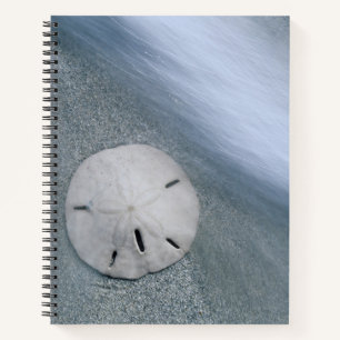 Sanddollar on Beach Sanibel Island, Florida Notebook