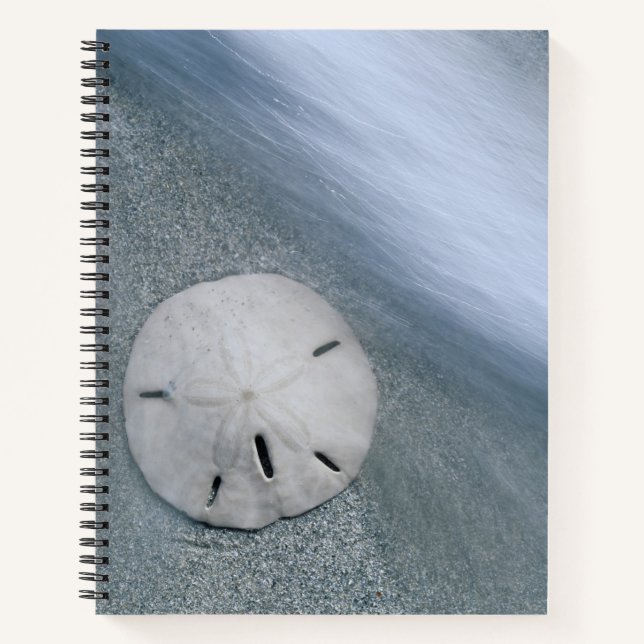 Sanddollar on Beach | Sanibel Island, Florida Notebook (Front)