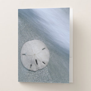 Sanddollar on Beach Sanibel Island, Florida Pocket Folder
