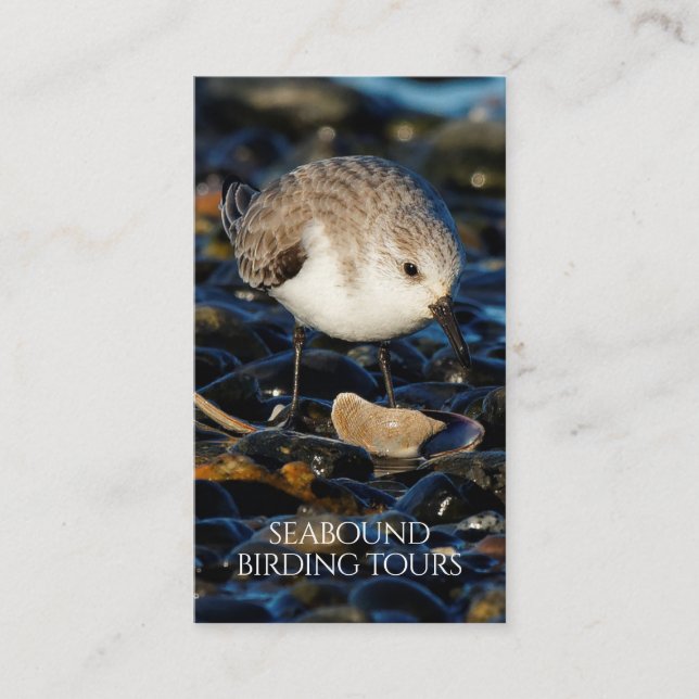 Sanderling Birdwatching / Nature Tours Business Card (Front)
