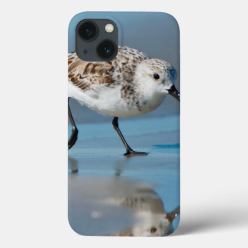 Sanderling Calidris Albe Feeding On Wet Beach iPhone 13 Case