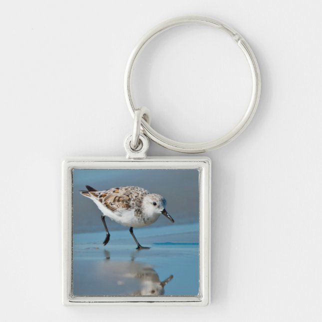 Sanderling (Calidris Albe) Feeding On Wet Beach Keychain (Front)