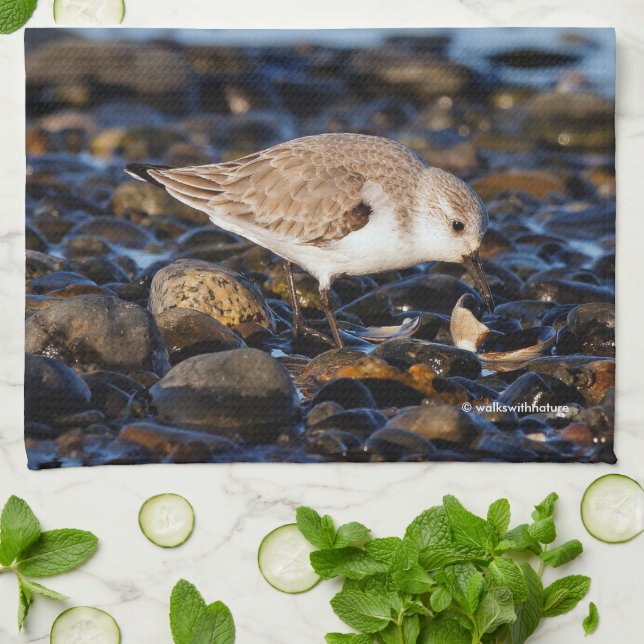Sanderling Dines on Clam at the Beach Kitchen Towel (Folded)