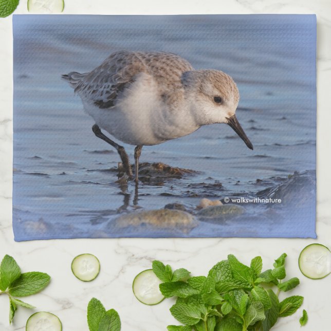 Sanderling Strolling a Winter Beach Towel (Folded)