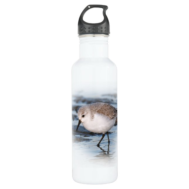 Sanderling Strolling on a Winter Beach Stainless Steel Water Bottle (Front)