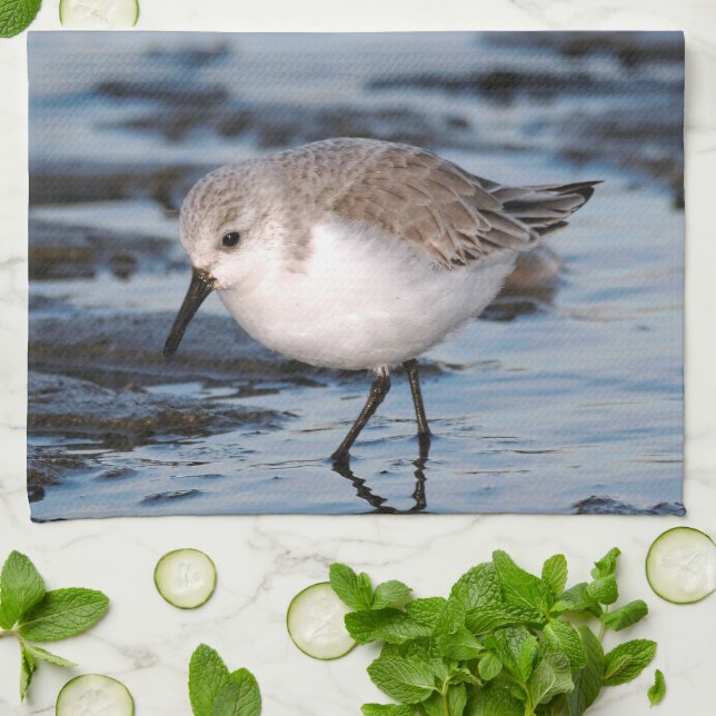 Sanderling Strolling on a Winter Beach Towel (Folded)
