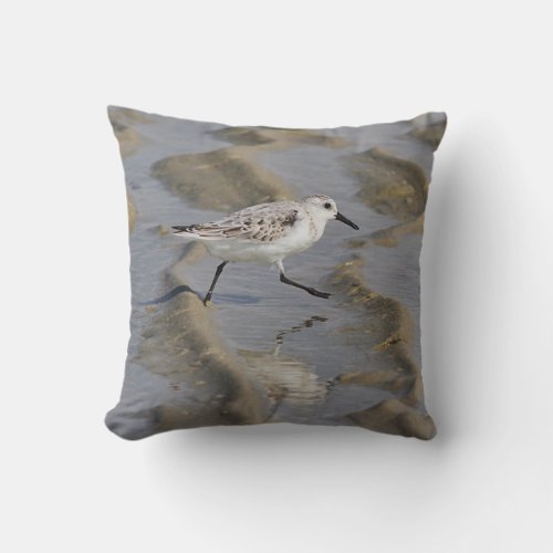 Sanderling Throw Pillow
