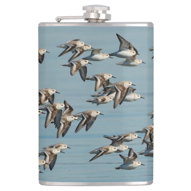 Sanderlings Take Flight in the Winter Skies Flask (Front)