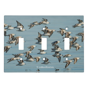 Sanderlings Take Flight in the Winter Skies Light Switch Cover