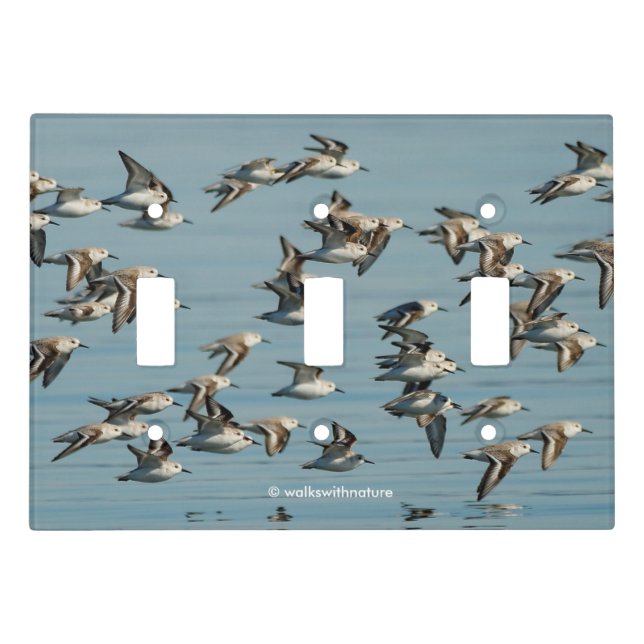 Sanderlings Take Flight in the Winter Skies Light Switch Cover (Front)