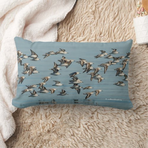 Sanderlings Take Flight in the Winter Skies Lumbar Pillow