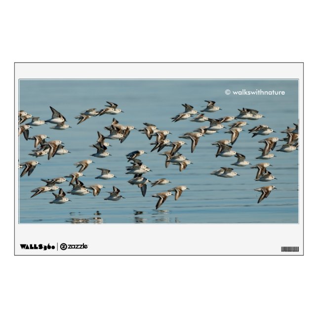 Sanderlings Take Flight in the Winter Skies Wall Decal (Front)