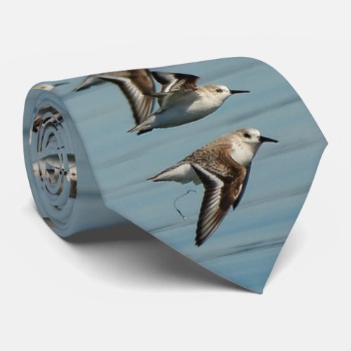 Sanderlings Takes Flight in the Winter Skies  Tie