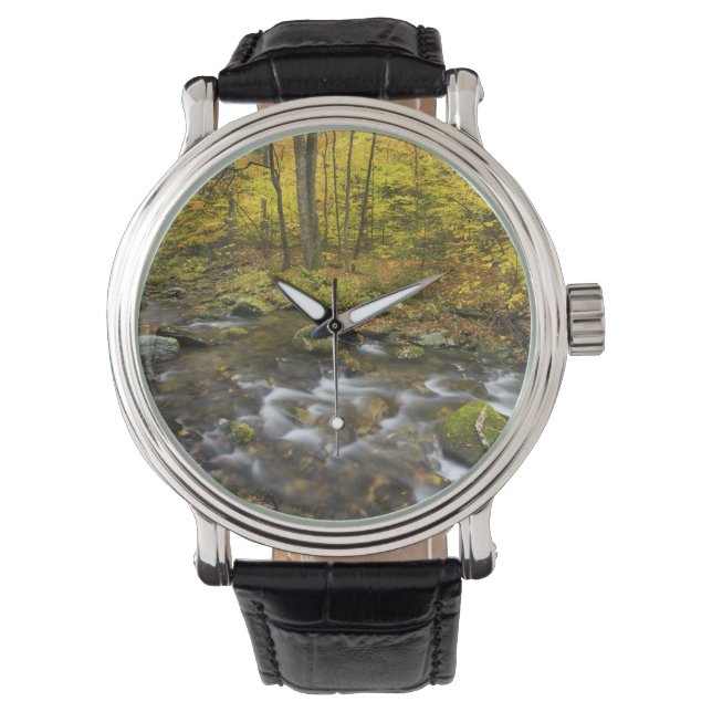 Sanderson Brook.  Chester-Blanford State Forest. Watch (Front)