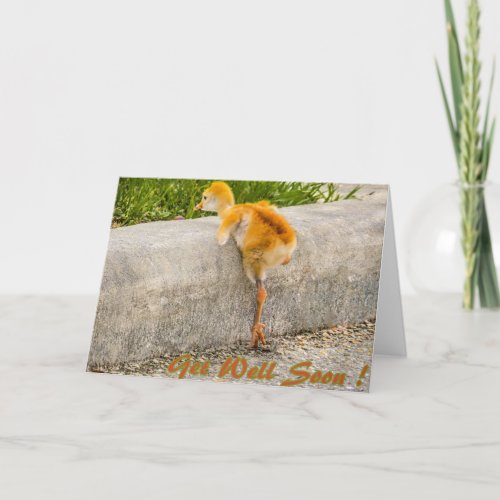 Sandhill baby bird GET WELL SOON Card