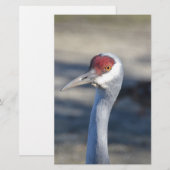 Sandhill Crane (Front/Back)