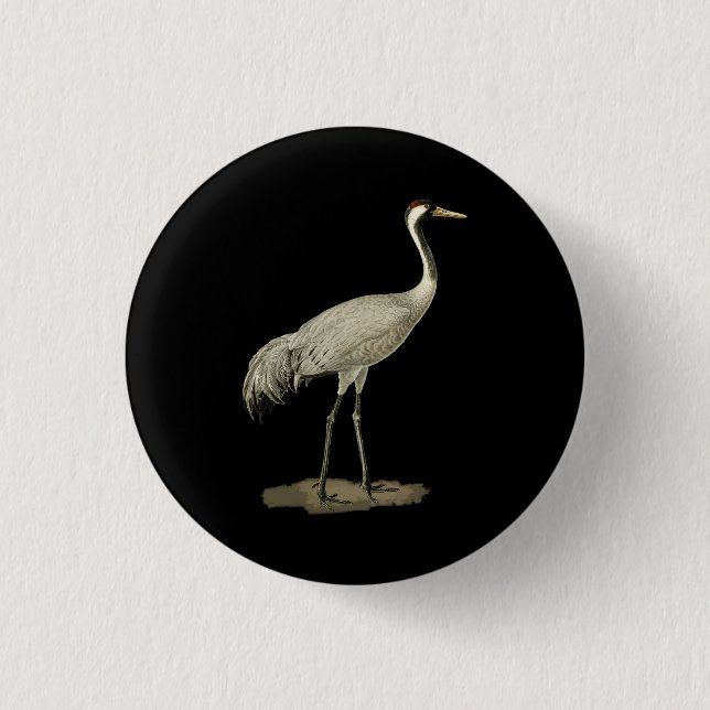 Sandhill Crane Antigone Canadensis Bird Refers Nor Button (Front)