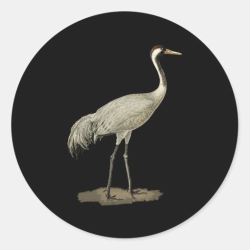 Sandhill Crane Antigone Canadensis Bird Refers Nor Classic Round Sticker