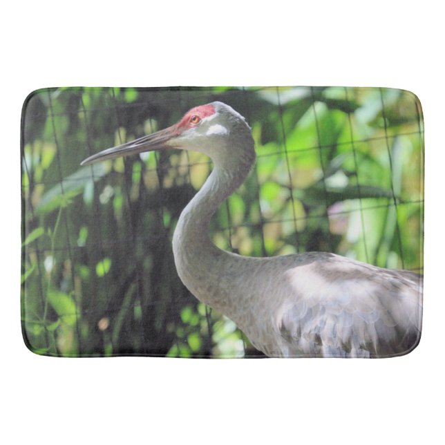 Sandhill crane  bath mat (Front)